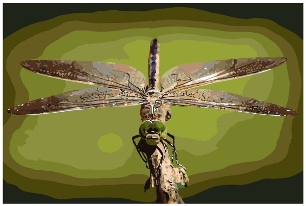 Картины по номерам Стрекоза