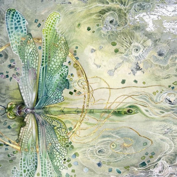 Stephanie Law картины, насекомые