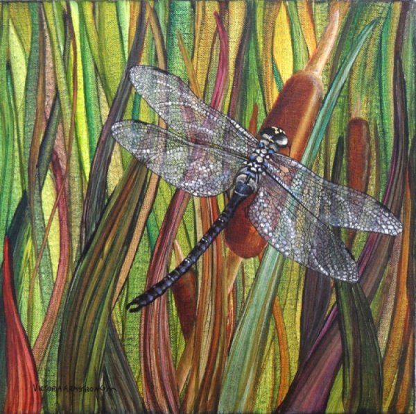 Dragonfly художник