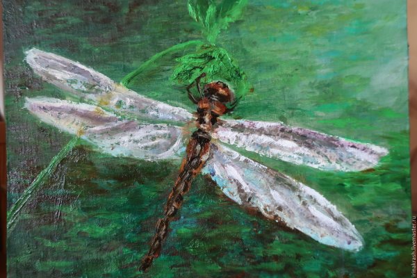 Стрекоза маслом