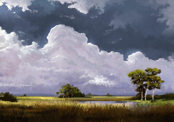 Ренато Мучилло Renato Muccillo