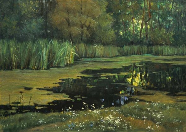 Валентин Серов заросший пруд