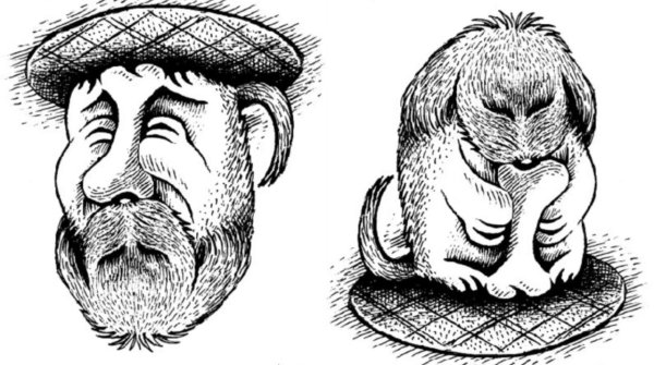 Картинки перевертыши