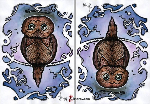 Иллюзии перевертыши