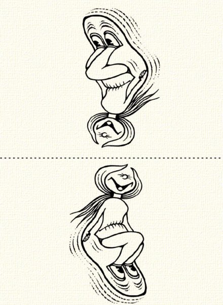 Перевертыши Валентин Дубинин художник