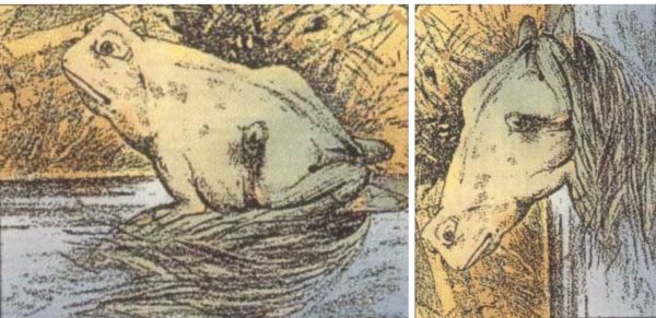 Картинки перевертыши прикольные