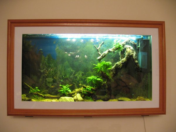Аквариум картина настенный