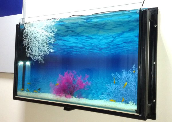 Настенный аквариум