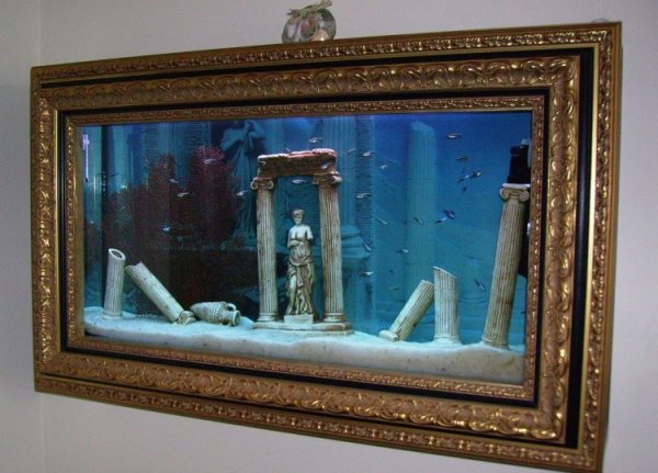 Аквариум картина