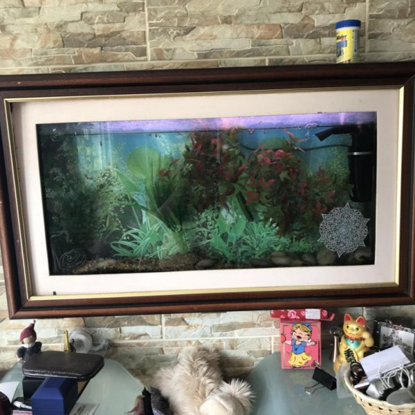 Аквариум картина настенный