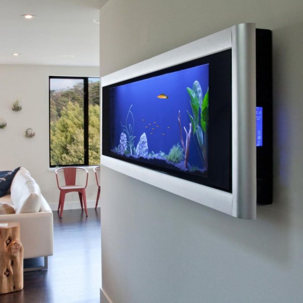 Аквариум картина