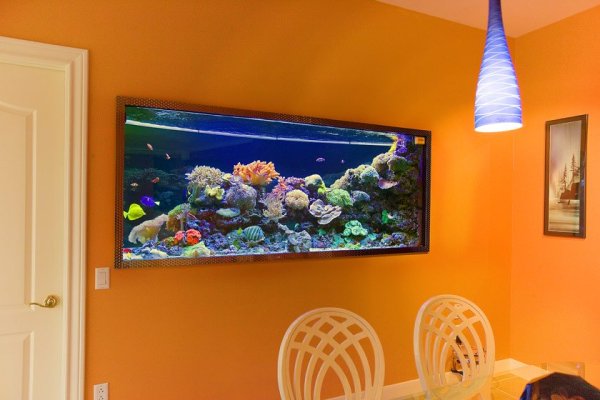 Японский Хин в живописи