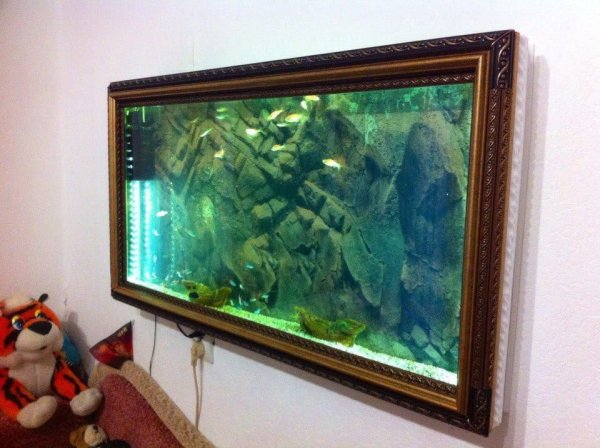 Аквариум Aquatlantis Aquaplasma 86 60 л