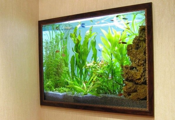Настенный аквариум
