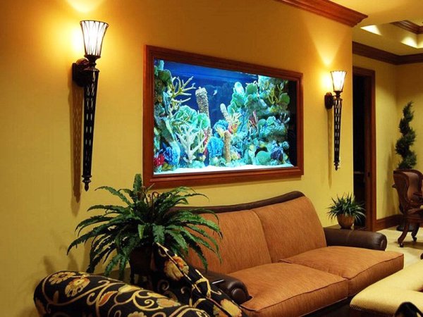 Кот аквариум живопись