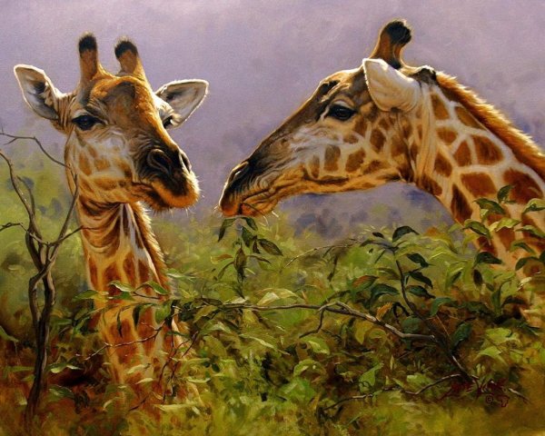 Художник Lute Vink животные Африки