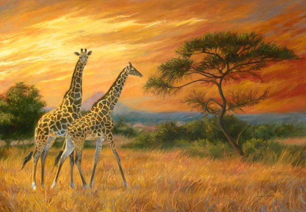 Африканские животные живопись