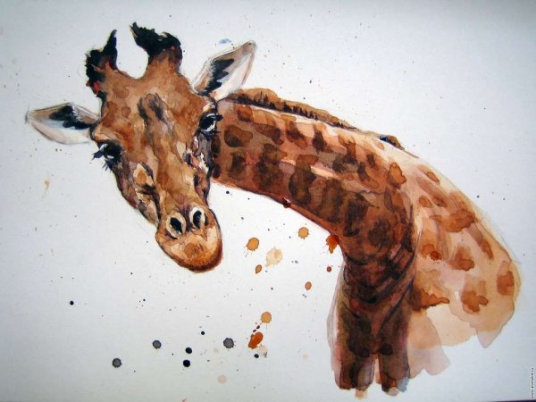 Рисунки животных акварелью