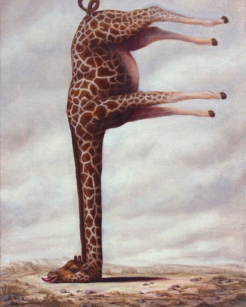 Бруно Понтироли