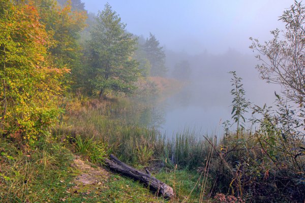 Солнечного сентябрьского утра