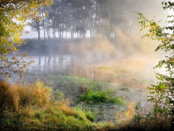 Осенний туман