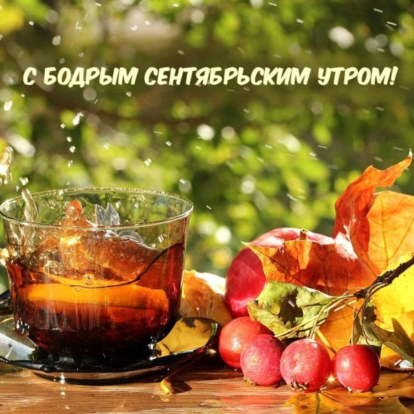 Чай Солнечный осенний