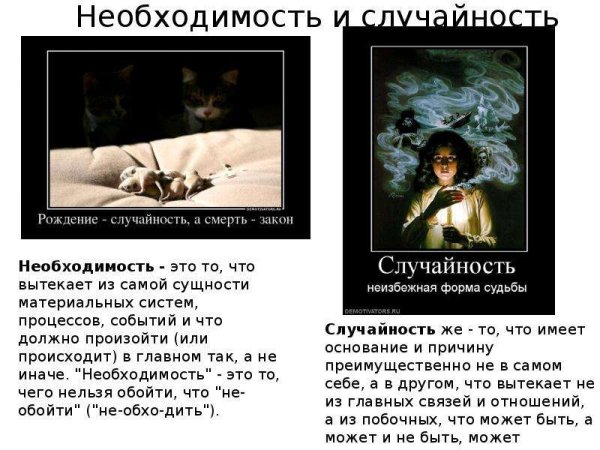 Цитаты про случайность