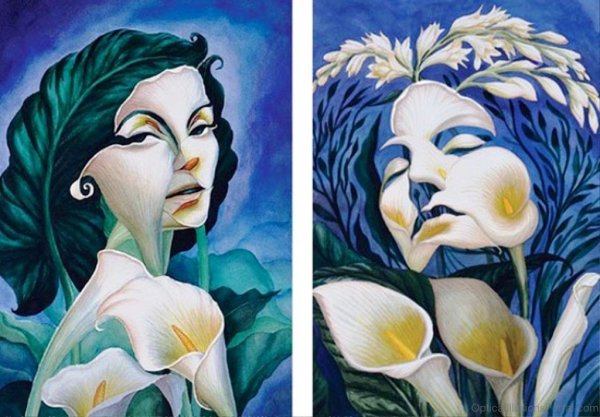 Октавио Окампо картины иллюзии