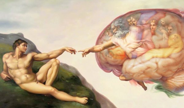 Фреска Микеланджело Сотворение Адама мозг
