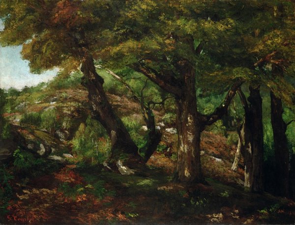 Гюстав Курбе картины лес