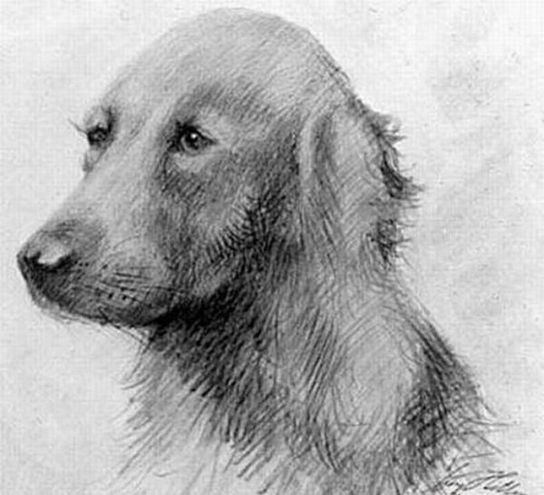 Рисунки Гитлера Адольфа