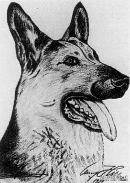 Австрийский художник Адольф Гитлер картины