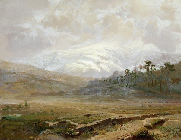 Федор Александрович Васильев (1850—1873)