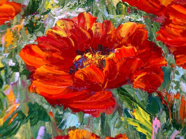 Калифорнийские маки живопись