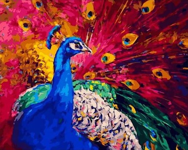 Paintboy Павлин