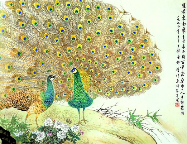 Павлин китайская живопись