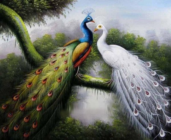 Ян Фейт. "Пейзаж с павлином".