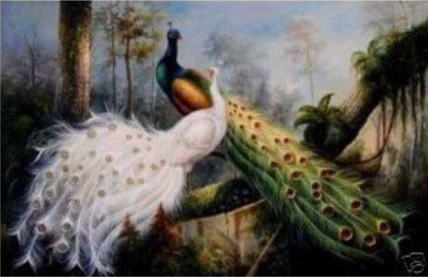 Два павлина картина