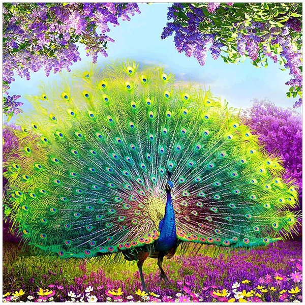 Павлин алмазная вышивка диамондс