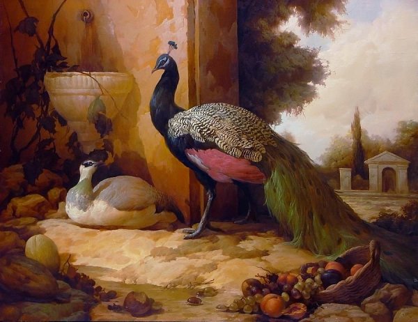 Павлин маслом на холсте Дмитрий Севрюков