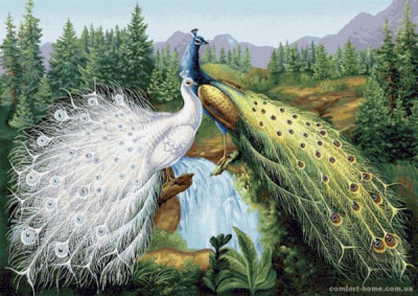 Алмазная живопись пара павлинов