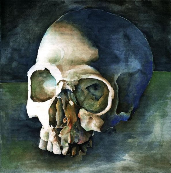 Череп акварелью