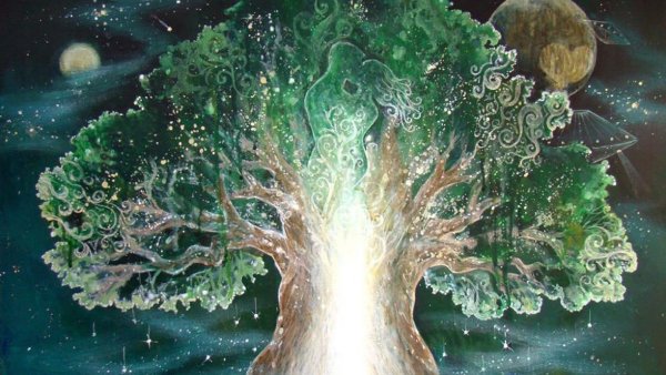 Дерево жизни