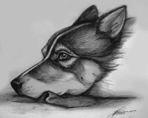 Рисунки карандашом грустные