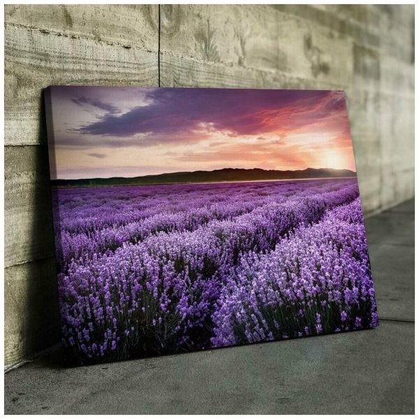 Лавандовое поле живопись