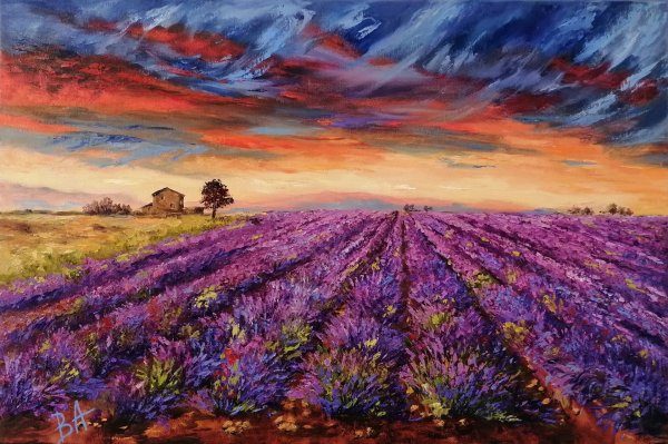 Моне Лавандовые поля