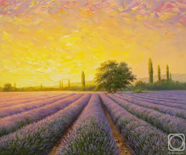 Картины Моне Лавандовое поле
