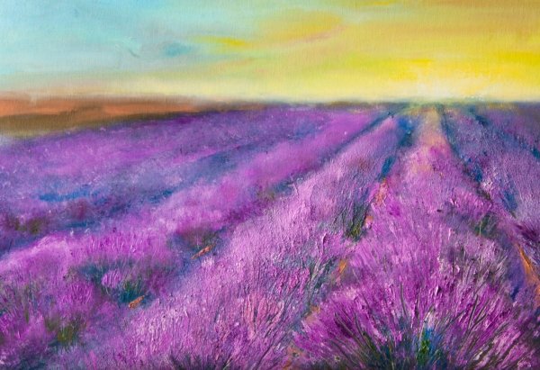 Художник Сергей Тутунов Лавандовые поля картины