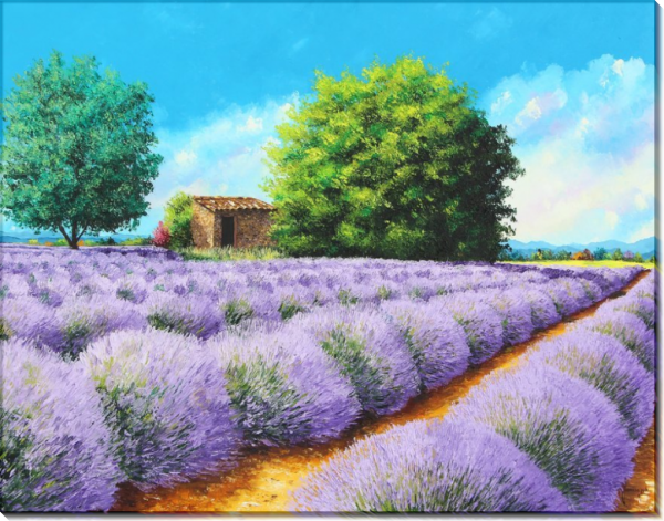 Живопись Жан Марк Жаньячик