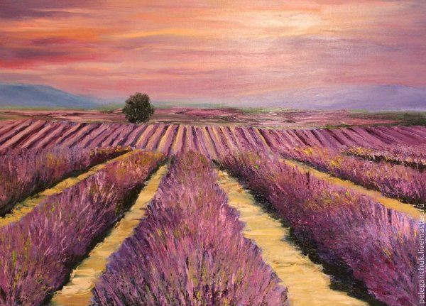 Прованс Тоскана Франция